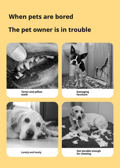 480542991